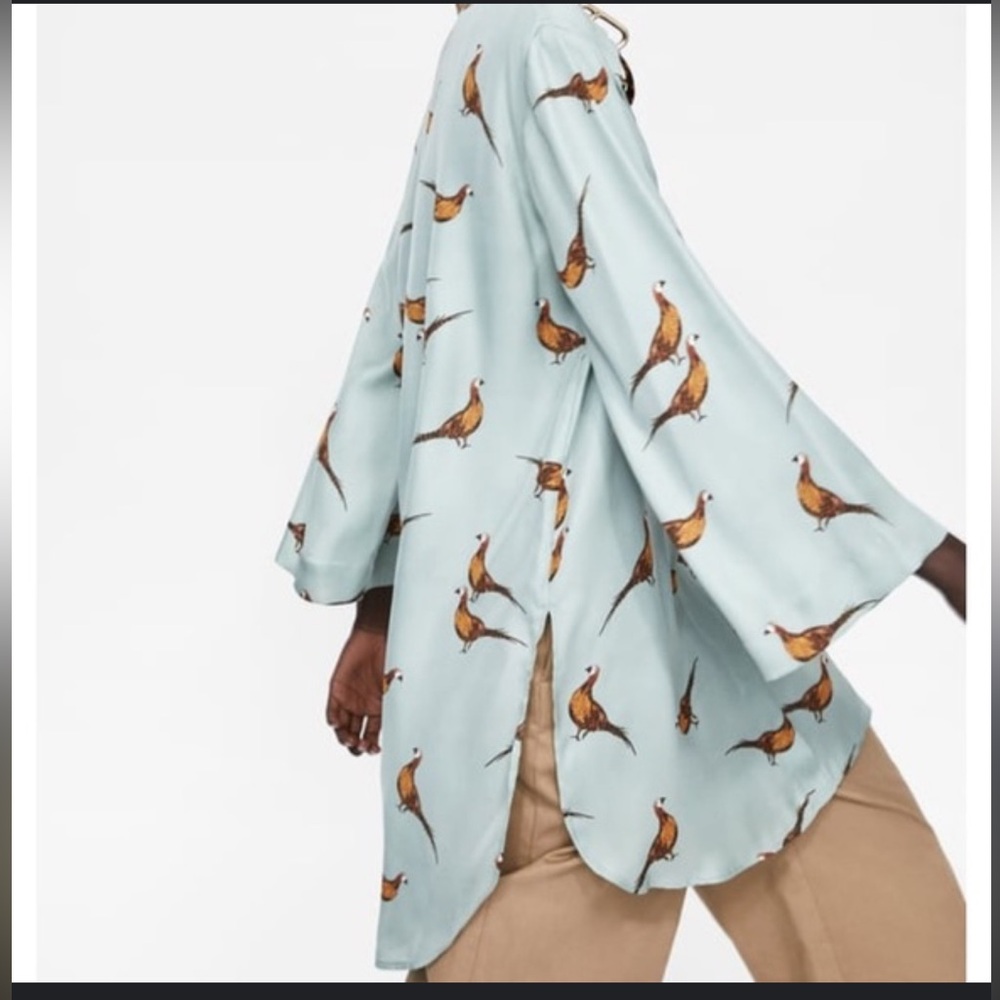 Zara Light Blue Blouse with Brown Pheasant Print